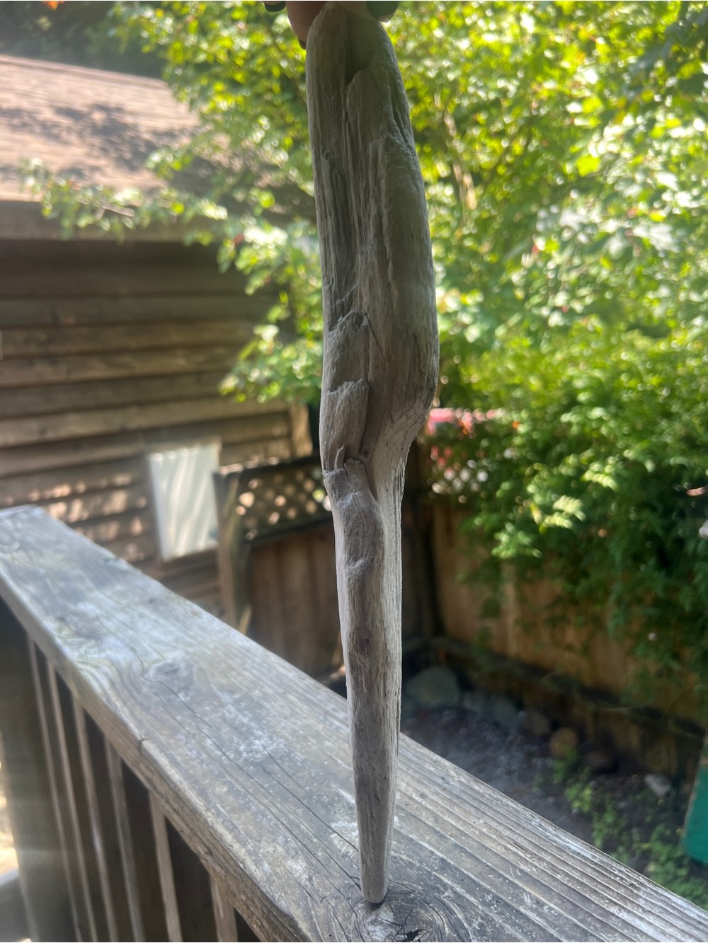 Natural Beach Driftwood Sculpture Long Pale Gray PNW Sea Home Decor DIY